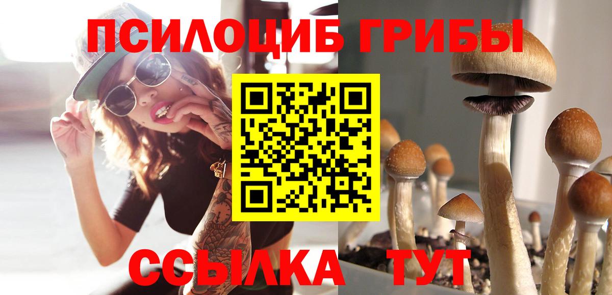 Каменка  Псилоцибиновые грибы MAGIC MUSHROOMS  хочу   Вход с VPN 
